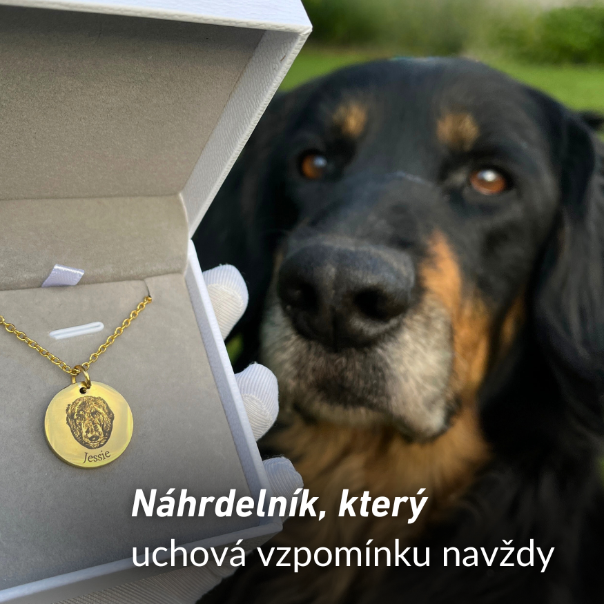 Náhrdelník s obrázkom maznáčika