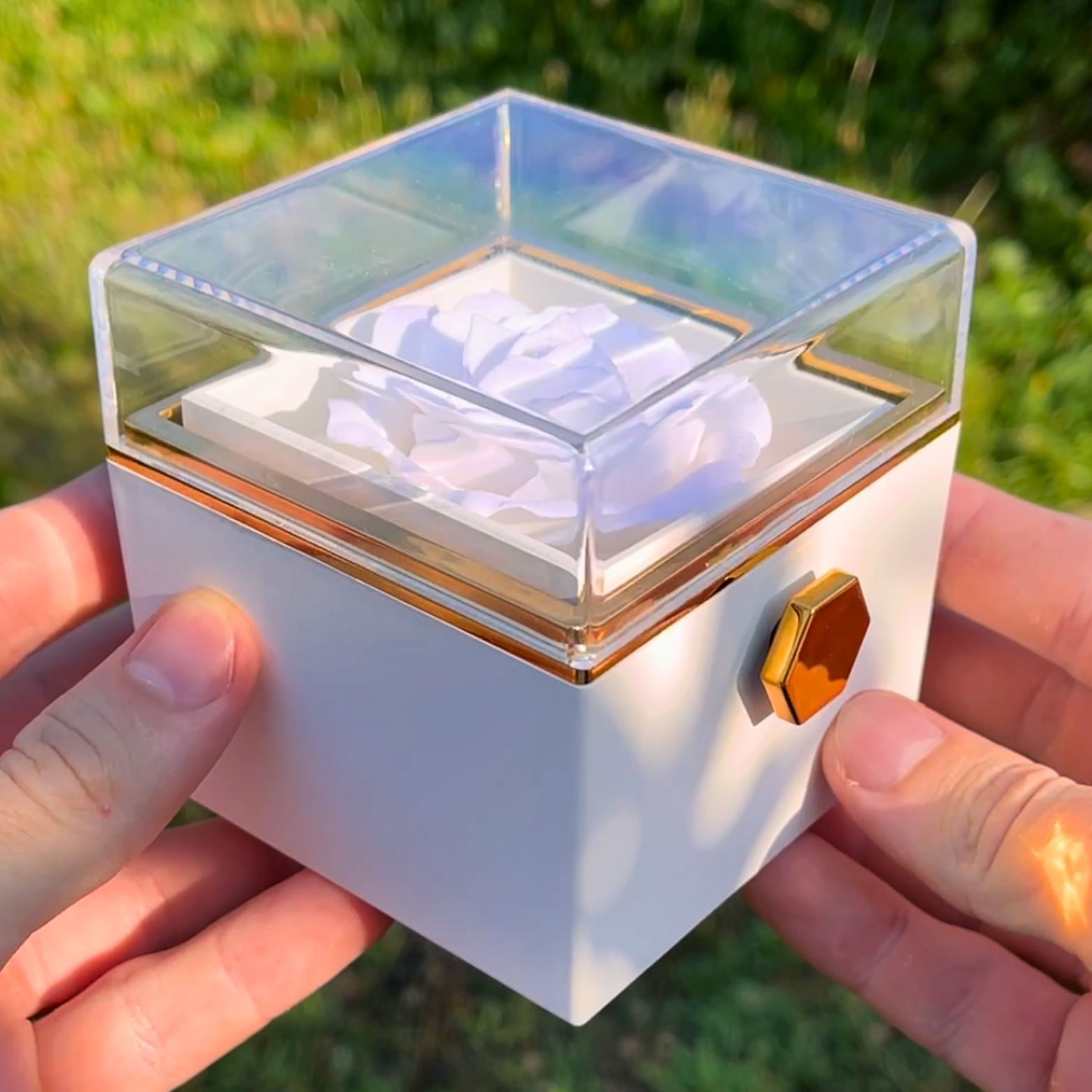 Darčeková krabička - Otáčacia ruža