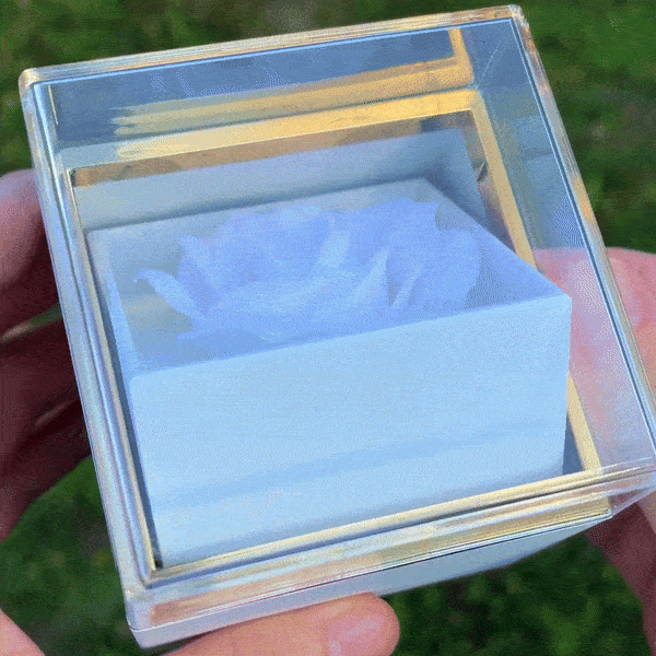 Darčeková krabička - Otáčacia ruža